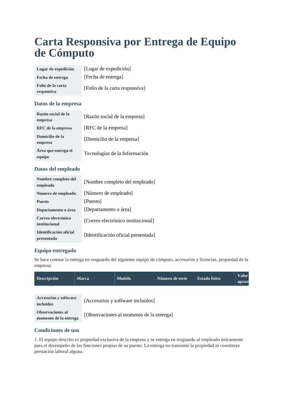 Carta responsiva de equipo
